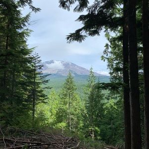 Meet your Posher, Daneelle